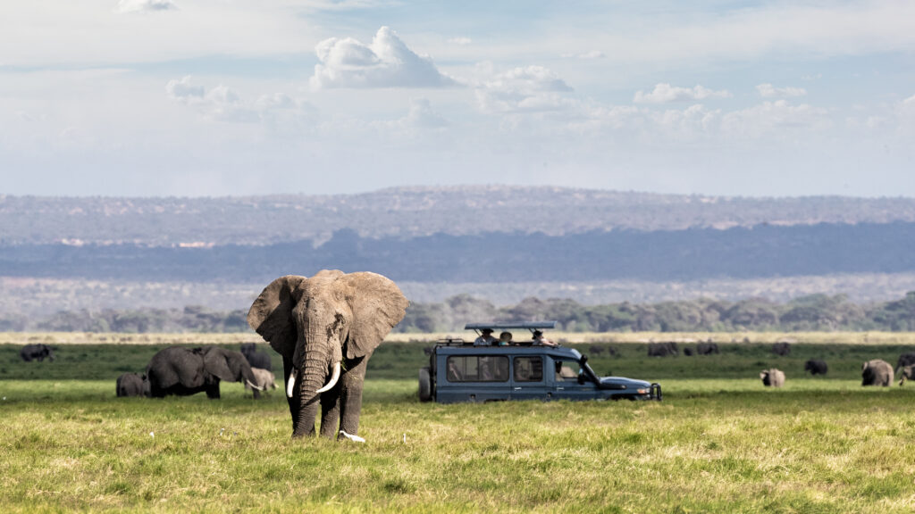 7 Days Tanzania Safari Adventures